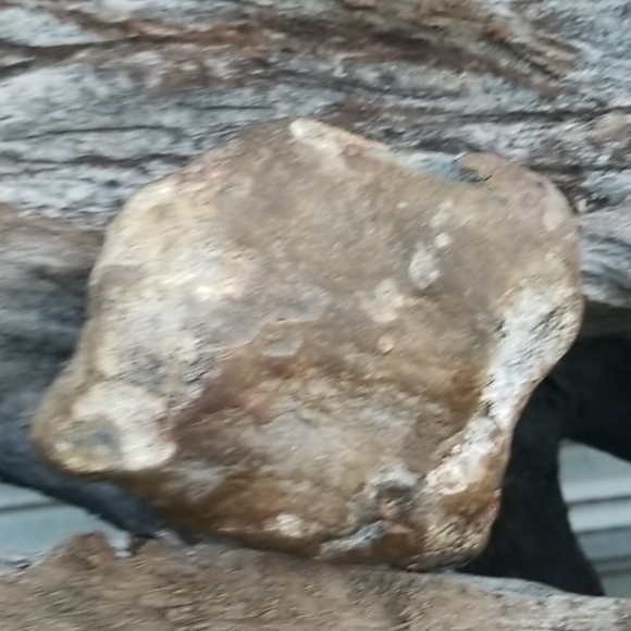 Agate, Kentucky agate, sliced,lightly polished - Picture 2 of 3